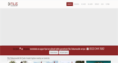 Desktop Screenshot of filizdokumacilik.net